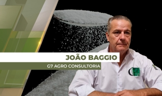 João Baggio - Diretor Presidente  G7 Agro Consultoria