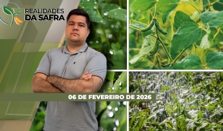 Realidades da Safra - Notícias Agrícolas