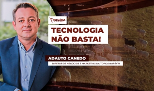 Adauto Canedo - Diretor de Negócios e Marketing da Topigs Norsvin