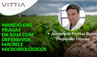 Confira a palestra de Adeney de Freitas Bueno