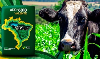Julio Ricardo Zannin e Amarildo da Silva - Eng. Agronomo e Zootecnista da Atto Sementes