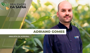 Adriano Gomes - Analista da AgRural