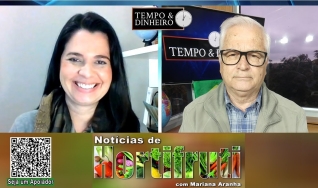 Tempo & Dinheiro