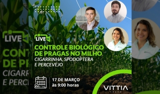 José Roberto P. de Castro - Diretor de Marketing da Vittia