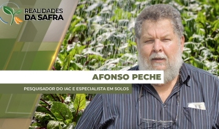 Afonso Peche - Pesquisador do IAC e Especialista em Solos