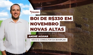 André Aguiar - Sócio e Consultor da Boviplan