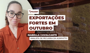 Isabella Cavalcante - Analista de Pecuária da Agrifatto