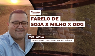 Yuri Ávila - Consultor Comercial na NutriÁvila