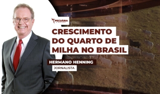 Hermano Henning - Jornalista