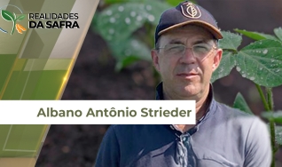Albano Antônio Strieder - Engenheiro Agrônomo do Sindicato Rural de São Borja/RS