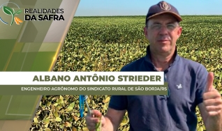 Albano Antônio Strieder - Engenheiro Agrônomo do Sindicato Rural de São Borja/RS