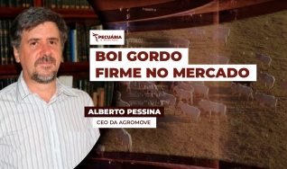 Alberto Pessina - CEO da Agromove