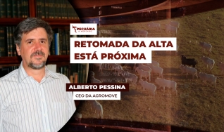 Alberto Pessina - CEO da Agromove