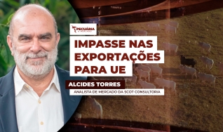 Alcides Torres - Analista de Mercado da Scot Consultoria