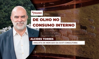 Alcides Torres - Analista de Mercado da Scot Consultoria