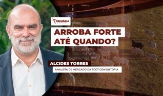 Alcides Torres - Analista de Mercado da Scot Consultoria