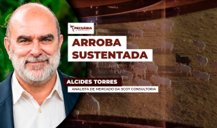 Alcides Torres - Analista de Mercado da Scot Consultoria
