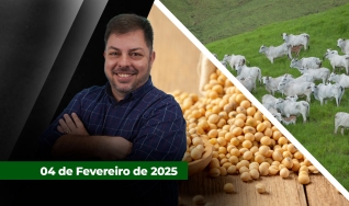 Fechamento de Mercado - Com Aleksander Horta