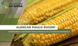 Alencar Paulo Rugeri - Extensionista e Assistente Técnico Estadual em Culturas da Emater/RS-A