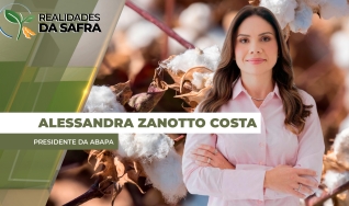 Alessandra Zanotto Costa - Presidente da Abapa