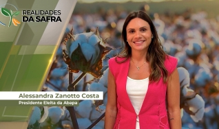 Alessandra Zanotto Costa - Presidente Eleita da Abapa