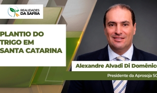 Alexandre Alvadi Di Domênico - Presidente da Aprosoja SC