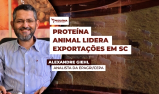 Alexandre Giehl - Analista da Epagri/Cepa
