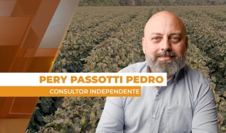 Pery Passotti Pedro - Consultor Independente
