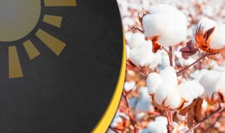 Isabela Aguiar - Eng. Agrônoma e Coordenadora de Acesso ao Mercado na Nitro