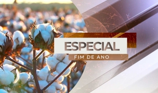 Alexandre Schenkel - Presidente Abrapa