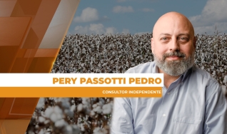 Pery Passotti Pedro - Consultor Independente