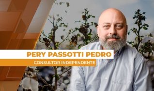 Pery Passotti Pedro - Consultor Independente
