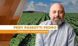 Pery Passotti Pedro - Consultor Independente