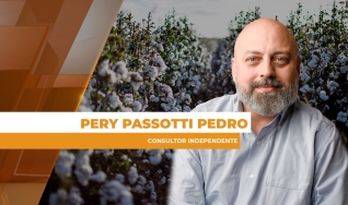 Pery Passotti Pedro - Consultor Independente