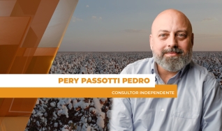 Pery Passotti Pedro - Consultor Independente