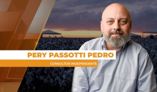 Pery Passotti Pedro - Consultor Independente