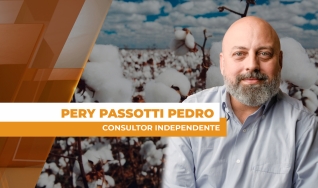 Pery Passotti Pedro - Consultor Independente