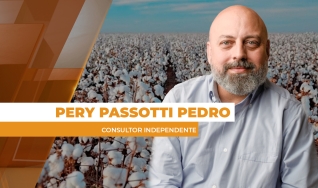 Pery Passotti Pedro - Consultor Independente