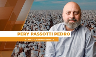 Pery Passotti Pedro - Consultor Independente