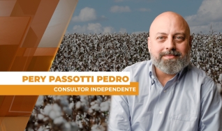 Pery Passotti Pedro - Consultor Independente