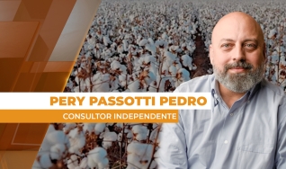 Pery Passotti Pedro - Consultor Independente