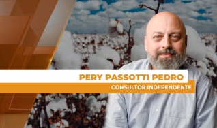 Pery Passotti Pedro - Consultor Independente