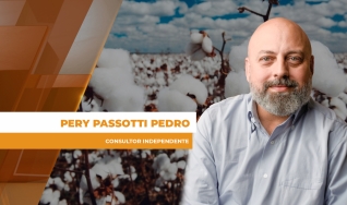 Pery Passotti Pedro - Consultor Independente