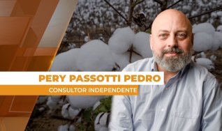 Pery Passotti Pedro - Consultor Independente