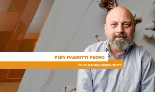 Pery Passotti Pedro - Consultor Independente