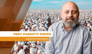 Pery Passotti Pedro - Consultor Independente