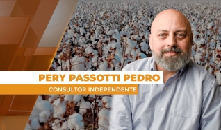 Pery Passotti Pedro - Consultor Independente