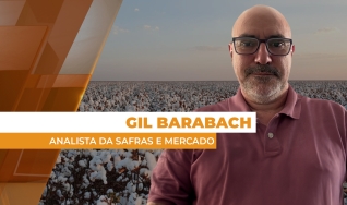 Gil Barabach - Analista da Safras e Mercado
