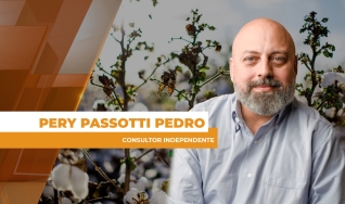 Pery Passotti Pedro - Consultor Independente