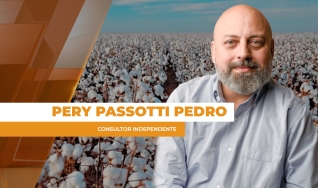 Pery Passotti Pedro - Consultor Independente